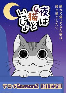 постер к аниме Вечера с кошкой 2