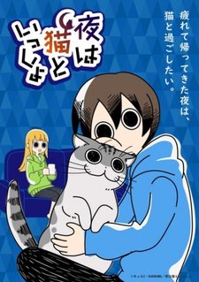 постер к аниме Вечера с кошкой